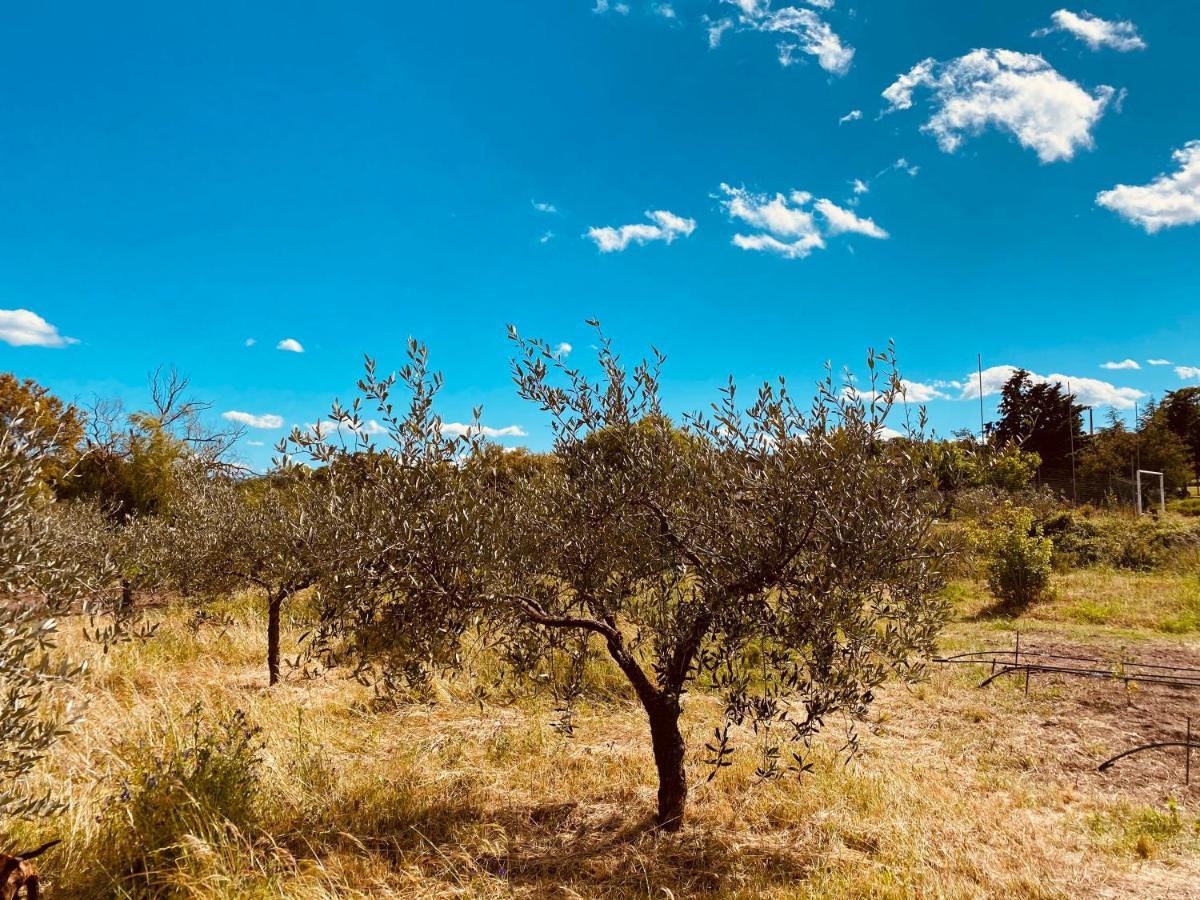 Il Nuraghe Del Lago Coghinas Oschiri Kültér fotó