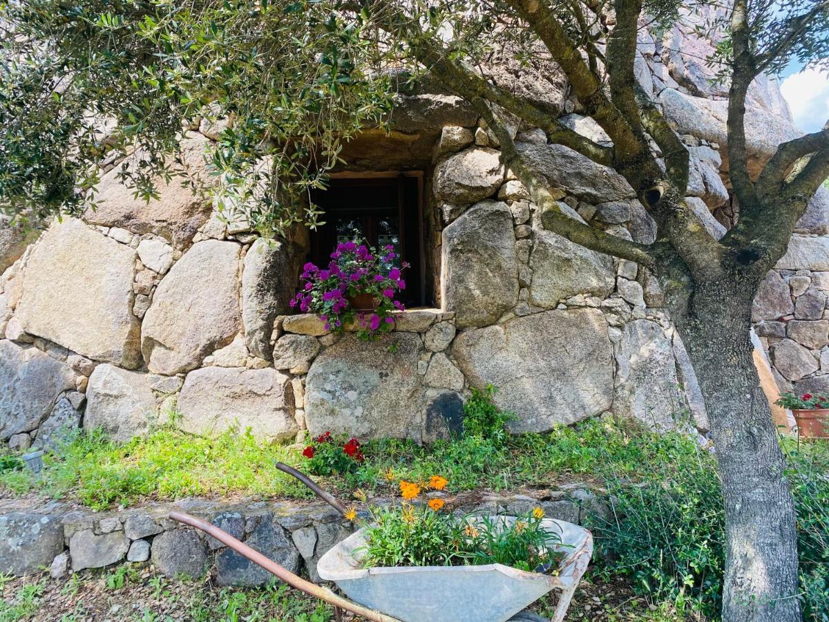 Il Nuraghe Del Lago Coghinas Oschiri Kültér fotó