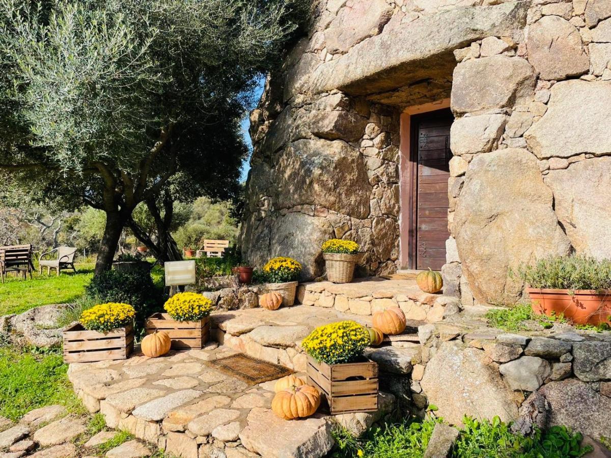 Il Nuraghe Del Lago Coghinas Oschiri Kültér fotó