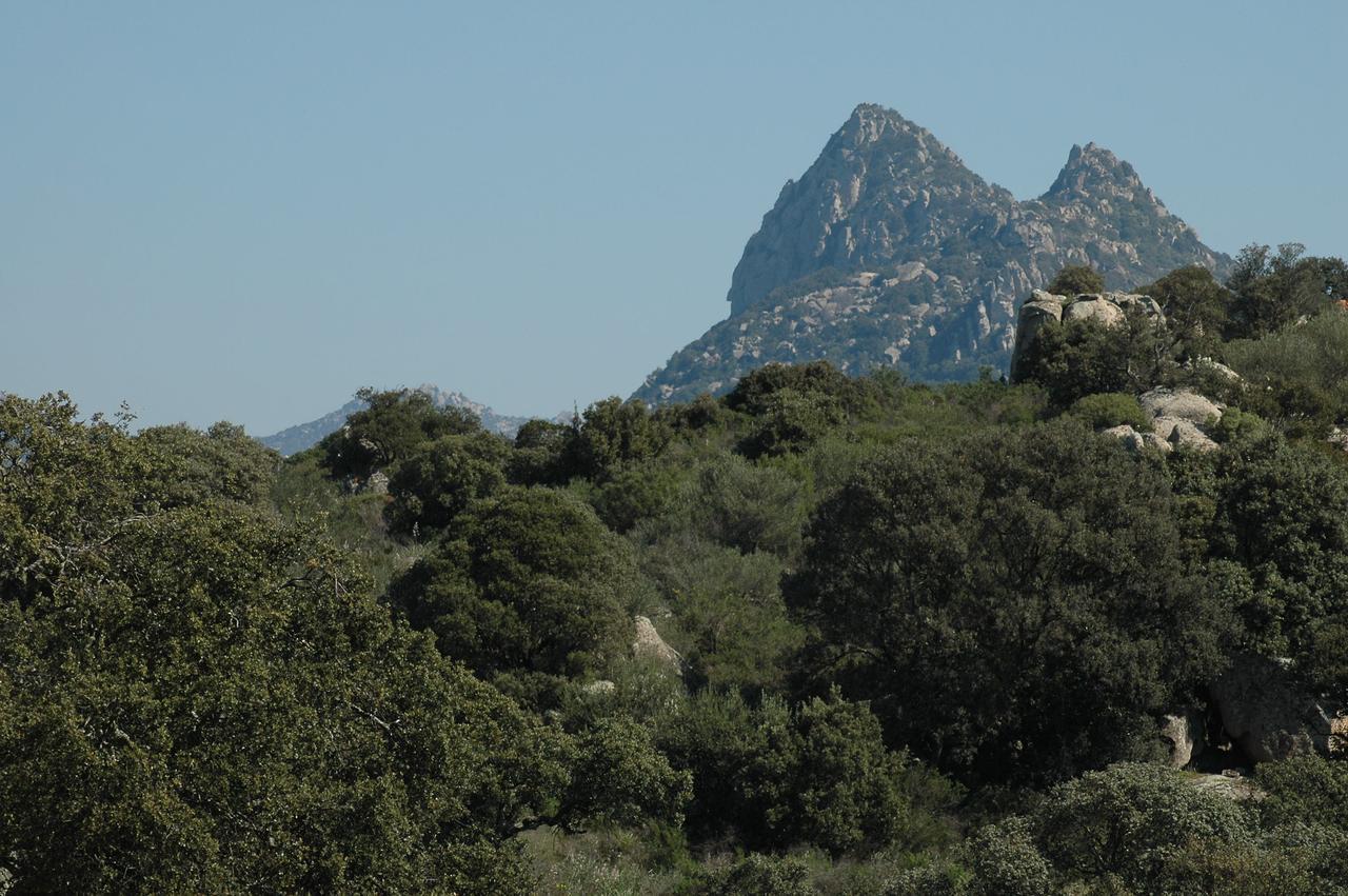 Il Nuraghe Del Lago Coghinas Oschiri Kültér fotó